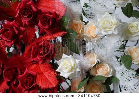 Roses. Red and White rose.  Holiday flower. Wedding. 