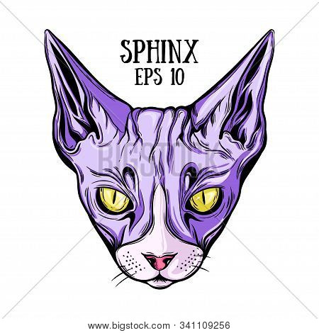 Illustration For Print Of T-shirts, Mugs, Pens, Logos, Tattoo And Other Things. Image Of Totem Anima