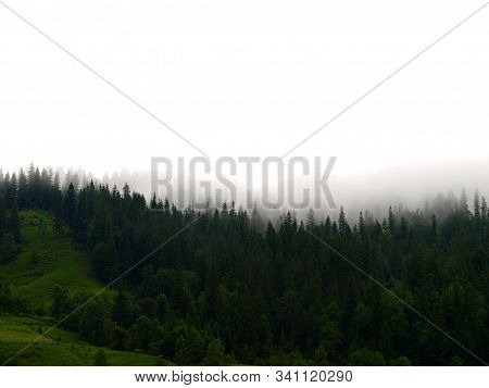 Picturesque And Magic Carpathian Mountains In Summer. Mountain Landscape With Morning Fog Spreading 