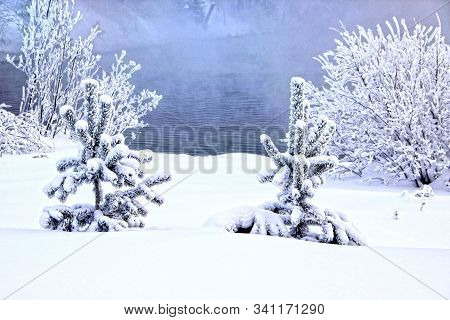 Two Small Christmas Trees Of A Wonderful Shape And Two Bushes Behind On The River Bank.