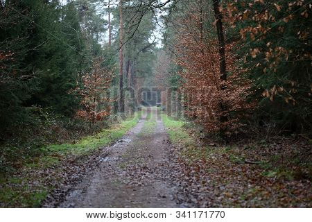Road In Forest Background High Quality Dorsten Rhade
