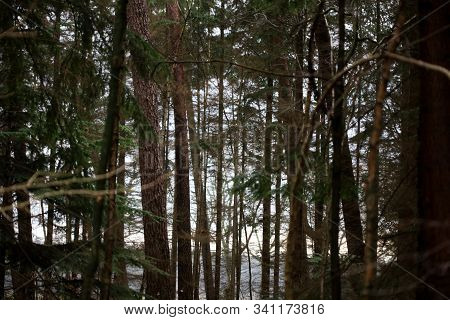 Road In Forest Background High Quality Dorsten Rhade