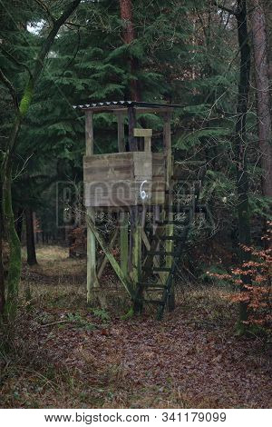 Road In Forest Background High Quality Dorsten Rhade