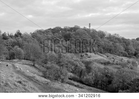 Landscape Photo Of The Admiral Hood Monument Near Butleigh In Somerset.