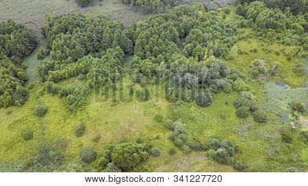 Aerial View Of Autumn Greenl Forest And Some Bushes. Texture And Ecological Concept.