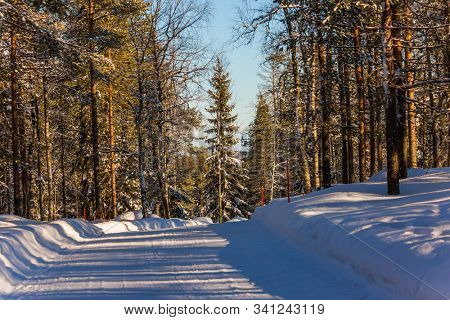 Wide snowy road in the forest. The northernmost zoo in the world. Finland. Sunny frosty winter day. The concept of active, winter, environmental and photo tourism