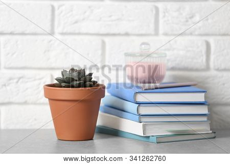 Beautiful Succulent And Books On Grey Stone Table Near Brick Wall. Home Plant