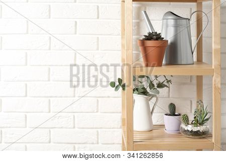 Beautiful Plants And Watering Pot On Shelves Near Brick Wall On Home. Space For Text