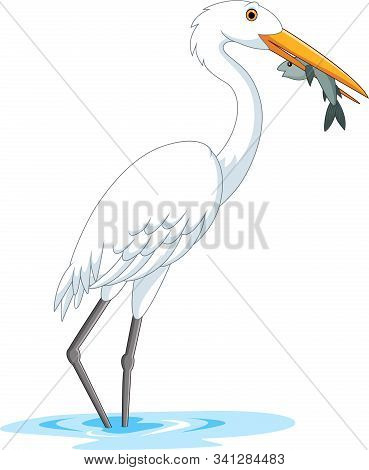Vector Illustration Of Cartoon Stork Eating A Fish