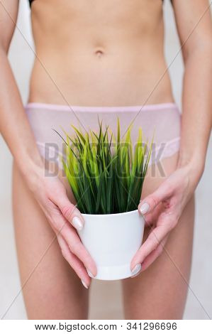 Depilation In The Bikini Zone Concept. A Woman Holding A Potted Bush In Her Hand Staying In Light Pi