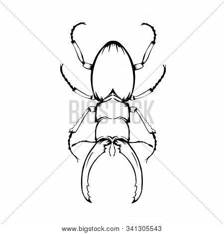 Sketch Design Of Bumblebee On White Background