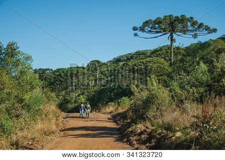 Cambara Do Sul, Brazil - July 16, 2019. People Hiking On Pathway Through Forest At Aparados Da Serra