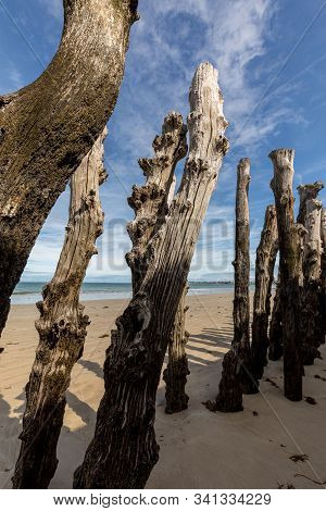 Big Breakwater, 3000 Trunks To Defend The City From The Tides, Plage De L Eventail Beach In Saint-ma