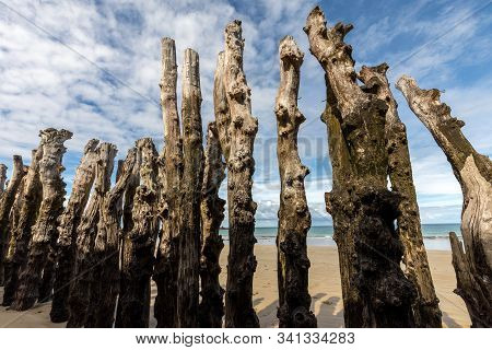 Big Breakwater, 3000 Trunks To Defend The City From The Tides, Plage De L Eventail Beach In Saint-ma