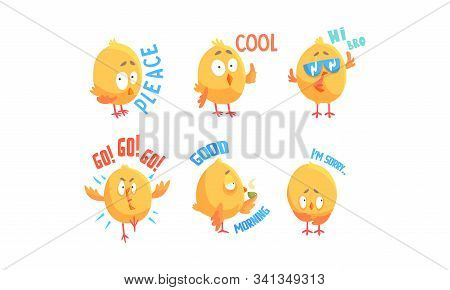 Funny Chicken Character With Phrases Vector Set