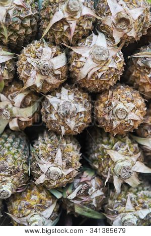 Big Pineapple, Close Up. Exotic Fruits At The Grocery Store. Different Varieties Of Pineapples On A 