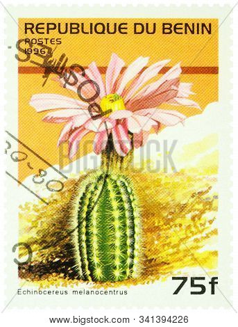Moscow, Russia - December 24, 2019: Stamp Printed In Benin Shows Cactus Echinocereus Melanocentrus, 
