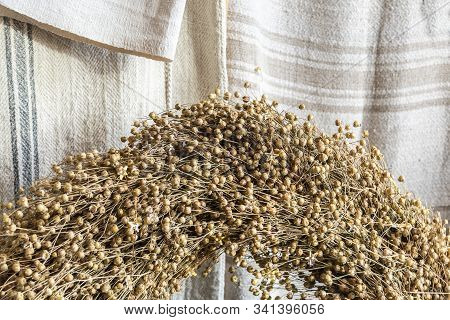 Marural Linen Background With Bouquets Of Flax