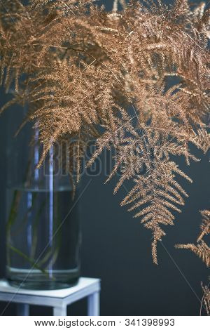 Branch Asparagus Fern Or Asparagus Setaceus Painted In Gold In A Glass Vase On A Metal Geometric Sta