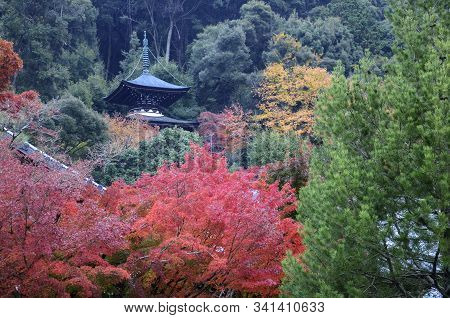 Colorful Fall Color Leaves In Eikando Zenrinji Gardens In Kyoto, Japan. Eikando Is One Of The Best P