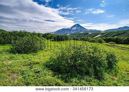 Panoramic View Of The City Petropavlovsk-kamchatsky And Volcanoes: Koryaksky Volcano, Avacha Volcano