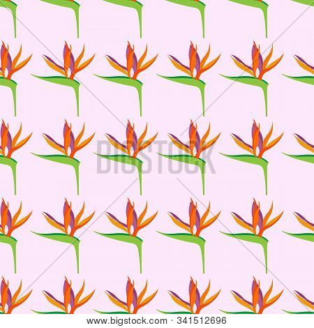 Seamless Pattern With Strelitzia Reginae Flowers, For Textiles, Packaging, Backgrounds, Embossing An