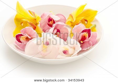 Tři druhy orchidejí na desce