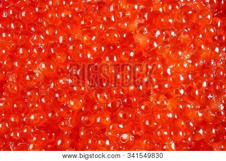 Caviar Red Useful Food, A Popular Snack For The Holiday. This Is Salting Fish Caviar: Pink Salmon, C