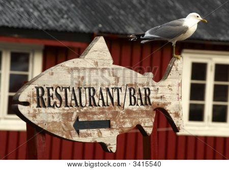 Gaviota