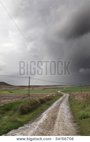 Strada di campagna