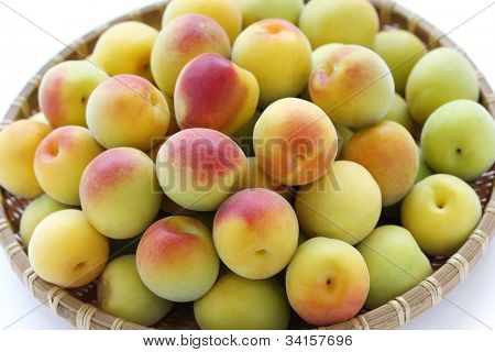 Reife Japanische Aprikose Früchte