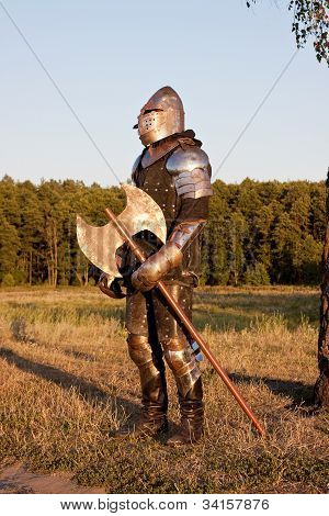 Medieval Knight