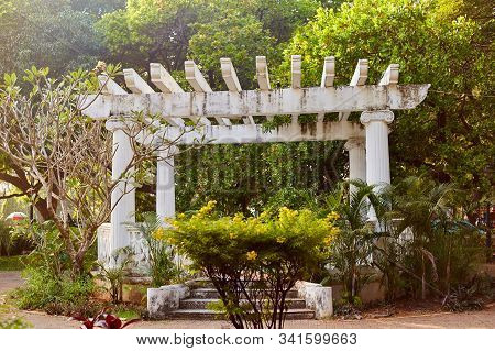 Panaji, Goa, India - December 15, 2019: Sights Of Panaji. Garcia De Orta Garden. Streets Of The Stat