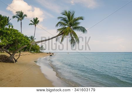 A View Of Tropical Beach With Sea Sand Palm Trees And Blue Sky,grand Bahia Beach,el Portillo,samana 