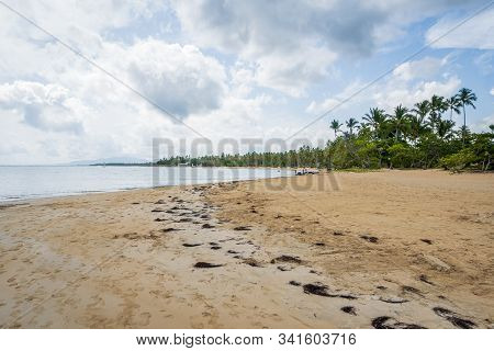 A View Of Tropical Beach With Sea Sand And Seaweed,grand Bahia Beach,el Portillo,samana Peninsula,do