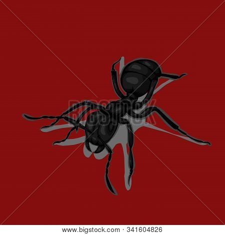 Simple Illustration Of Ants Black On Red Background
