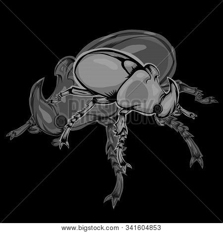 Simple Design Of Illustration Bumblebee With Shadow Bumblebee On Black Background