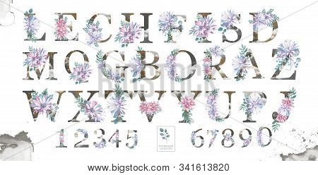 Beauty Letters With Watercolor Pink Flowers And Elegant Alphabet Numbers With Floral And Leaves Isol