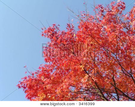 Blue_Red