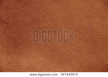 Genuine Leather. Brown Background Close-up Skin Structure.