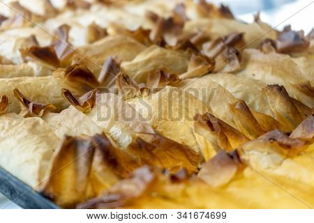 Delicious Tentugal Tarts From Coimbra, Portugal