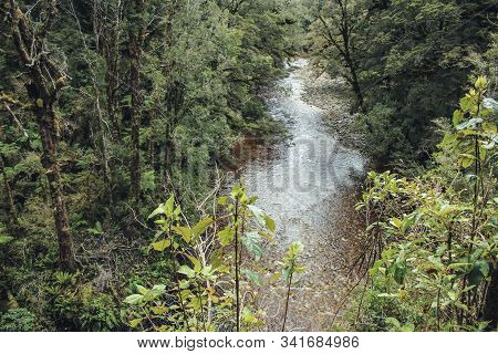 Oparara River Flows Through Idyllic Rainforest At Oparara Basin Arch, South Island, New Zealand