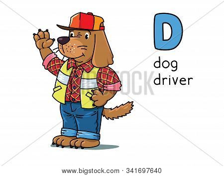 Dog Driver Animals And Professions Abc. Alphabet D