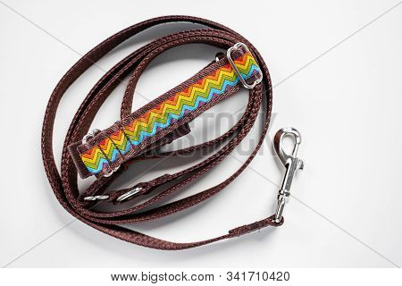 Colorful Dog Collar And Leash From Silky Tape, One Side Is Brown. Close Up, White Background, Copy S