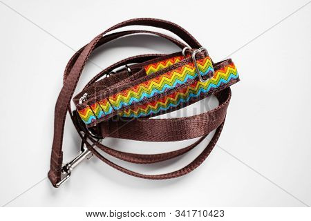 Colorful Dog Collar And Leash From Silky Tape, One Side Is Brown. Close Up, White Background, Copy S