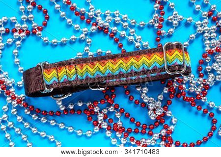 Top View  сolorful Dog Collar And Leash From Silky Tape, Red And White Beads On Blue Background, Cop