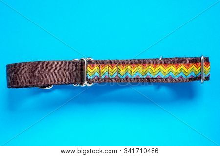 Top View  сolorful Dog Collar And Leash From Silky Tape, One Side Is Brown. Close Up, Blue Backgroun