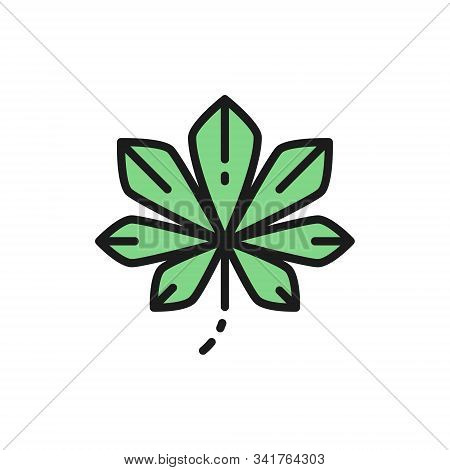 Chestnut Tree Leaf, Kyiv Chestnuts Flat Color Line Icon.