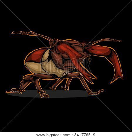 Simple Design Of Illustration Beetle Red Combination Gold On Black Background