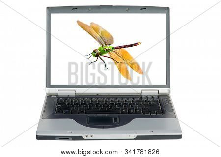 Laptop Computer. Dragonfly Isolated on white. Beautiful Dragonfly aka Devils Darning Needle isolated on white. Room for text. Clipping Path. On a computer monitor for scientific research. 